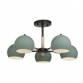 Потолочный светильник FR5032CL-05B Trisha Modern Freya