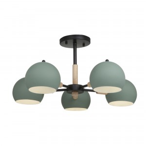 Потолочный светильник FR5032CL-05B Trisha Modern Freya