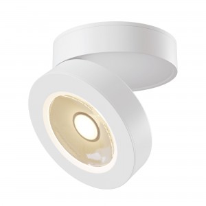 Потолочный светильник C022CL-L12W4K Magic Maytoni Technical
