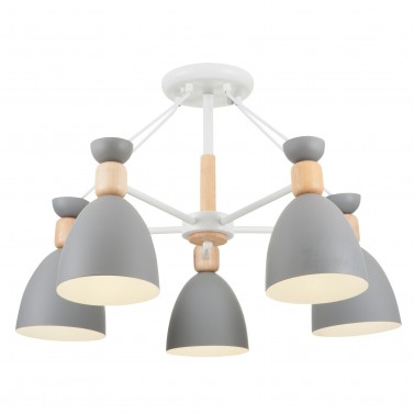 Потолочный светильник FR5033CL-05W Delia Modern Freya