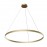 Подвесной светильник MOD058PL-L54BS4K Rim Maytoni Technical
