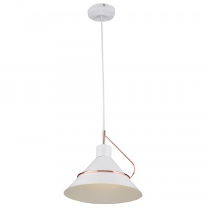 Подвесной светильник FR5025PL-01W Amis Modern Freya