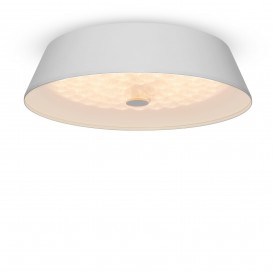 Потолочный светильник FR10013CL-L24W LED Freya