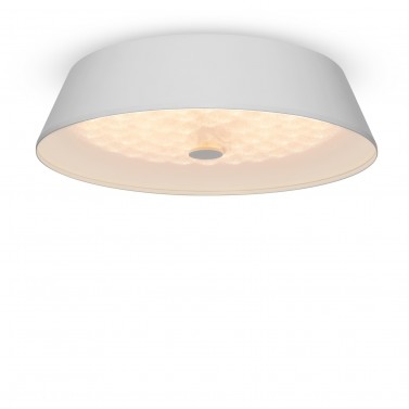 Потолочный светильник FR10013CL-L24W LED Freya