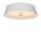 Потолочный светильник FR10013CL-L24W LED Freya