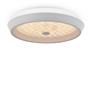 Потолочный светильник FR10012CL-L24W LED Freya
