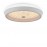 Потолочный светильник FR10012CL-L24W LED Freya