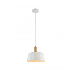 Подвесной светильник T454-PL-01-W Dayton Pendant Maytoni