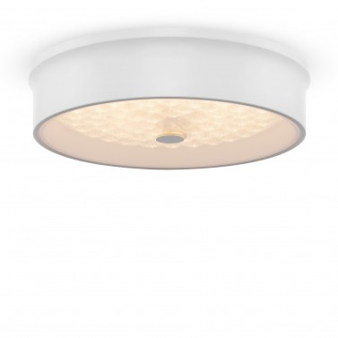 Потолочный светильник FR10011CL-L24W LED Freya