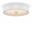 Потолочный светильник FR10011CL-L24W LED Freya