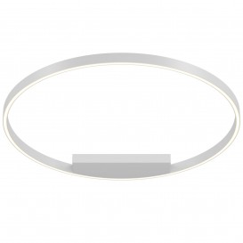 Потолочный светильник MOD058CL-L50W4K Rim Maytoni Technical