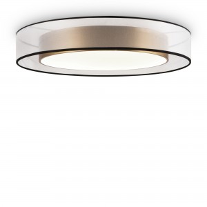 Потолочный светильник FR6005CL-L48G Zoticus LED Freya